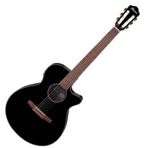 Guitarra Clásica Electroacústica Ibanez AEG50N BKH