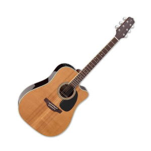 Guitarra Electroacústica Takamine EF360SC-TT